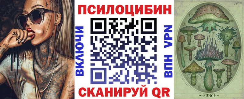 Купить закладки  Зеленоградск  Галлюциногенные грибы MAGIC MUSHROOMS 
